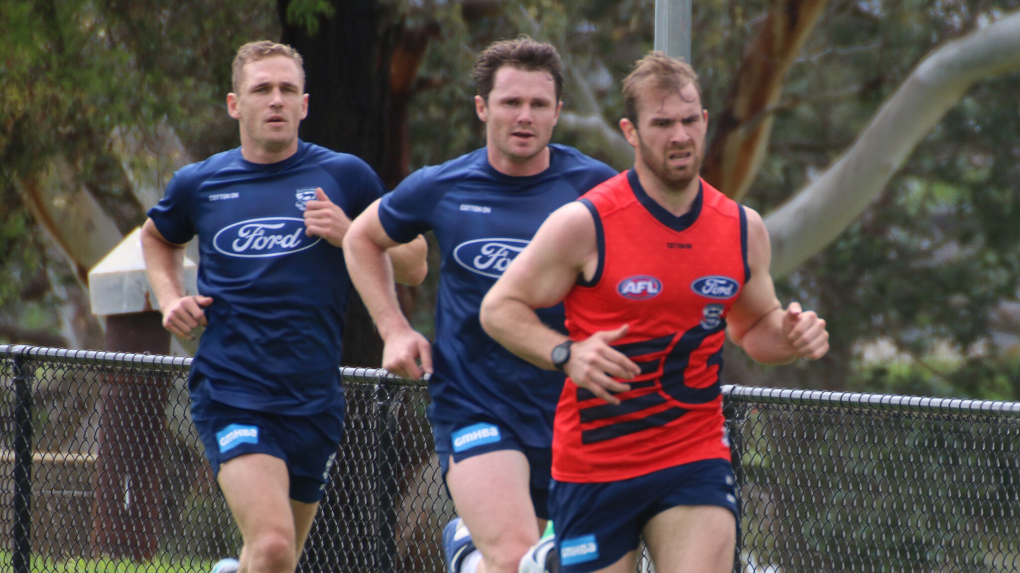 SelwoodDangerCrameri300x300.jpg Joel Selwood, Patrick Dangerfield and Stewart Crameri. Picture: Al Packer, K Rock Football - AFL,Geelong Cats,Patrick Dangerfield,Joel Selwood,Stewart Crameri,Tom Hawkins,Mitch Duncan,Zac Smith,Gary Ablett